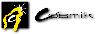 Logo von Cosmik